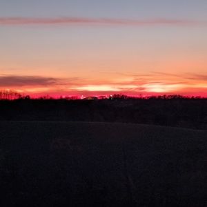 Meet your Posher, Isabelle